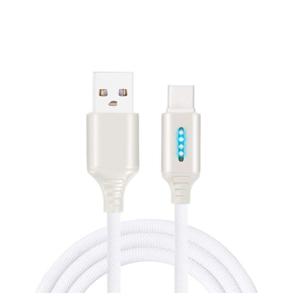 Smartsyde™ Fast Charging Cable